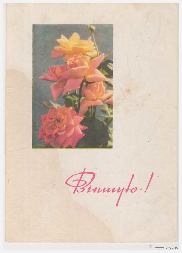 Открытка Віншую 1967, подписана