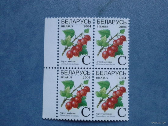 Беларусь 2004. Квартблок  крыжовник. будет с правым полем.