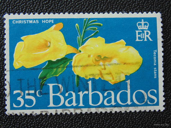 Британский Барбадос 1970 г. Цветы.