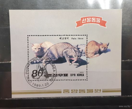 Корея. 1989 год. Кошки (блок) (1324)