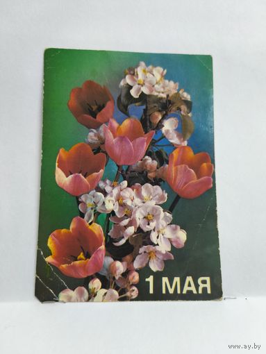 Открытка, 1989г. 1 мая. Фото П. Костенко. 14