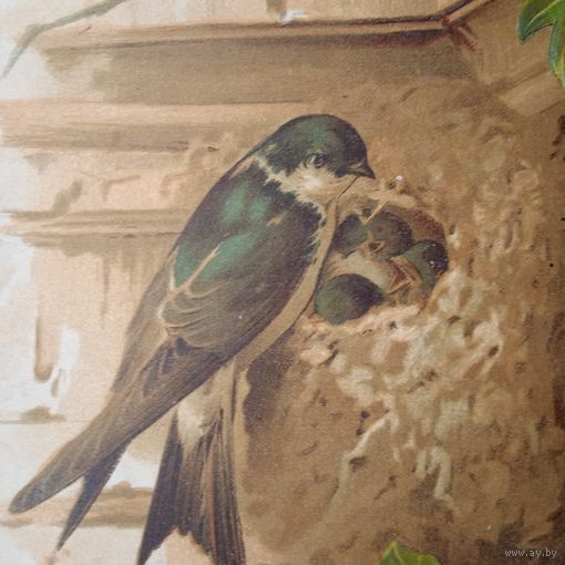 ВЪ РОДНОЙ СЕМЬЪ .   22х16см.   хромогравюра 19 в. Спб.  РАСПРОДАЖА КОЛЛЕКЦИИ.