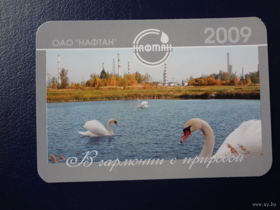 Календарик 2009 г.  В гармонии с природой.