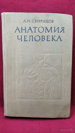 А.И. Свиридов  Анатомия человека