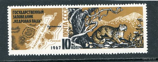 СССР 1967. Заповедник Кедровая падь