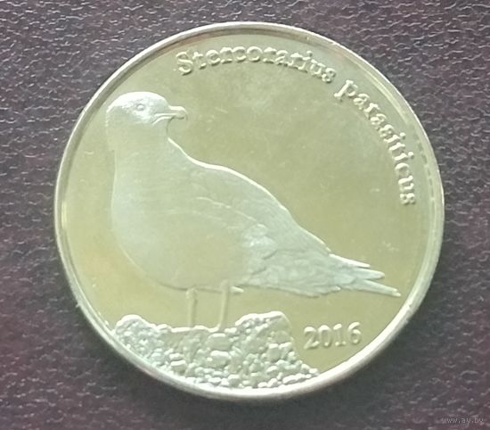 Шетландские острова, 1 фунт 2016. Короткохвостый поморник.