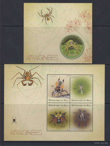 Мали 2015** Фауна Насекомые Пауки