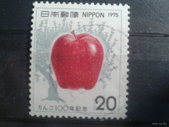 Япония, 1975. 100 лет выращивания яблок в Японии