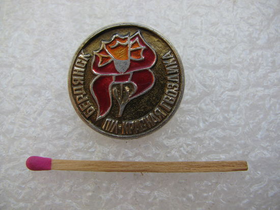 Знак. Бердянск. Пионерский лагерь "Красная гвоздика"