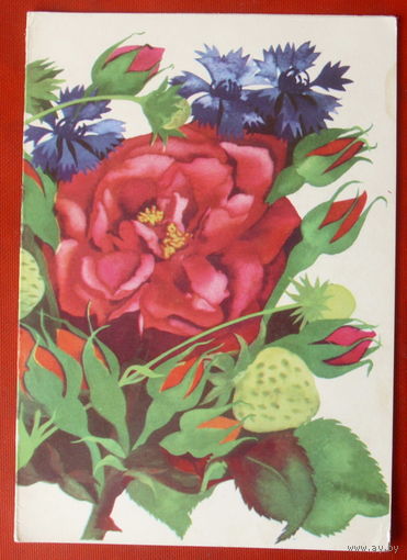 Лето. Чистая. Двойная. 1983 года. Лейс. 1066.