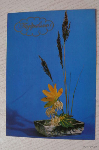 Барышникова В., Поздравляю! 1983, чистая.