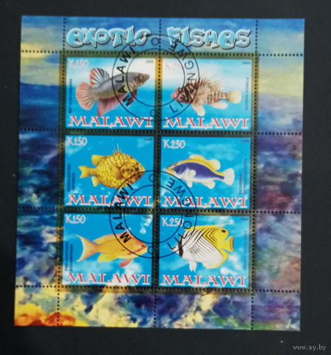 ЛИСТ ФАУНА животные  СТО