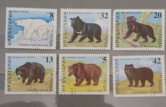 Болгария медведи 6шт