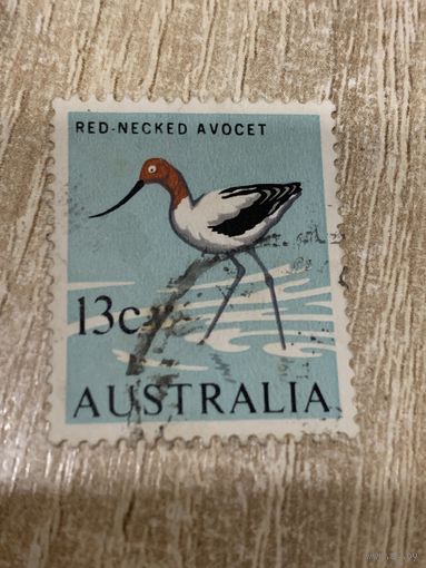 Австралия. Птицы. Red necked avocet. Марка из серии