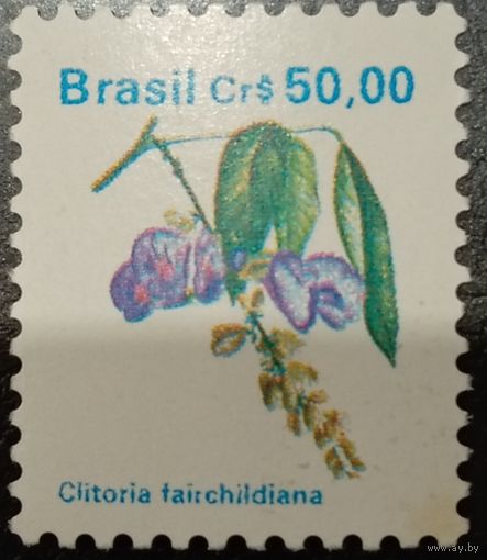 Бразилия. Флора. Clitoria Fairchildiana