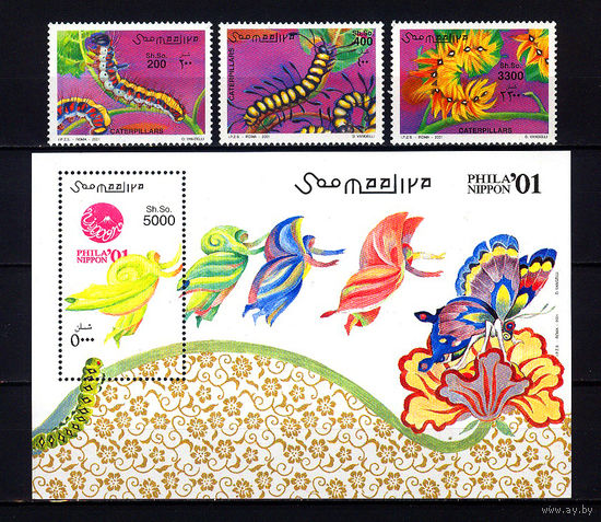 2001 Сомали. Гусеницы