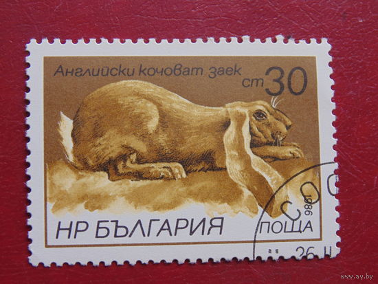 Болгария 1986 г. Заяц.