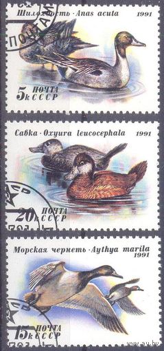 СССР 1991 утки фауна