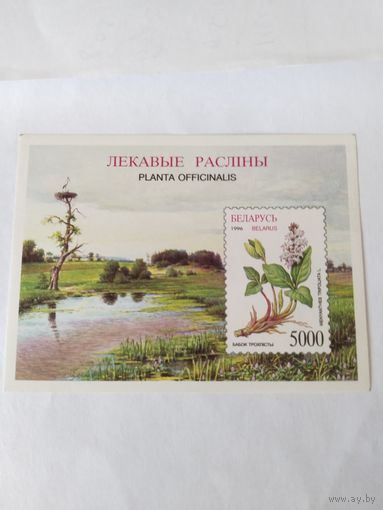 РБ  1996 бл   лек.раст.