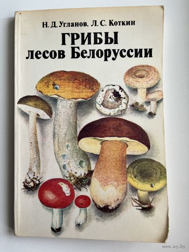 Грибы лесов Белоруссии