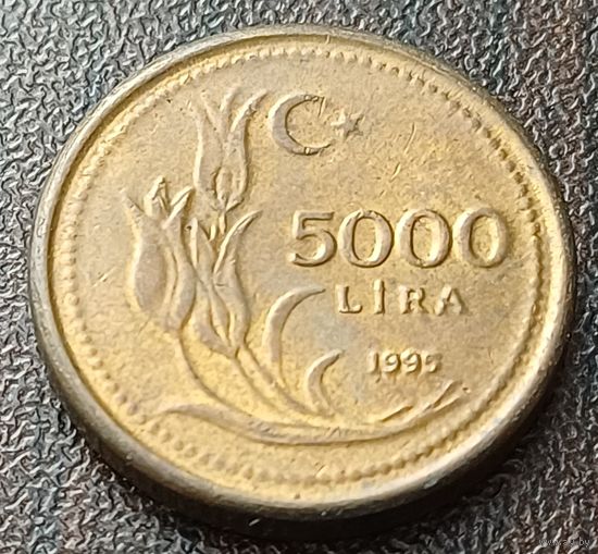 Турция 5000 лир, 1995    ( 1-15-6 )