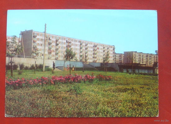 Польская. Чистая. Города. 1496.