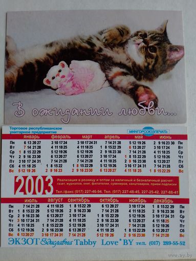 Карманный календарик 2003 год. Котик