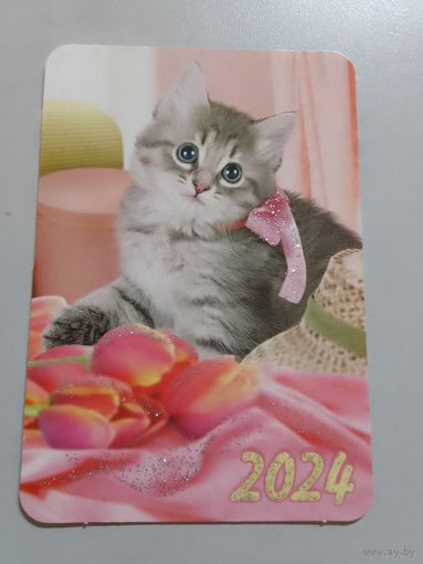 Карманный календарик. Котик. 2024 год