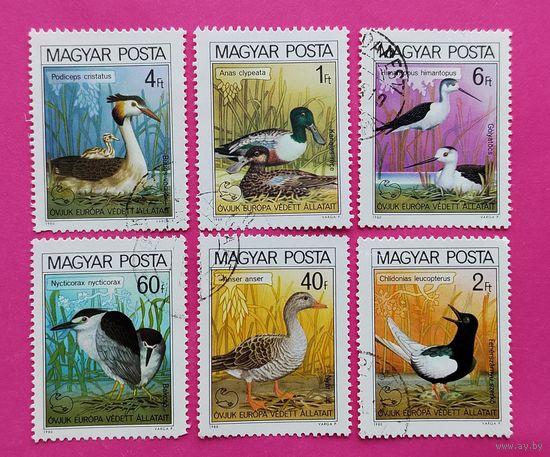 Венгрия. Птицы. ( 6 марок ) 1980 года. 8-11.