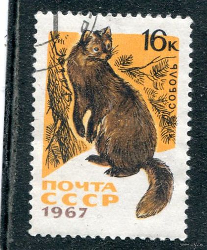 СССР 1967.. Пушные звери. Соболь