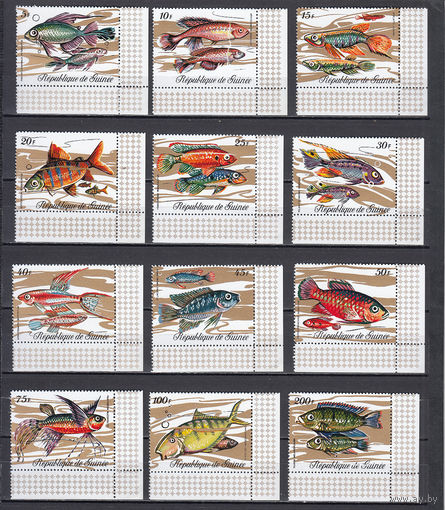 Фауна. Рыбы. Гвинея. 1971. 12 марок. Michel 571-582 (16,0 е)