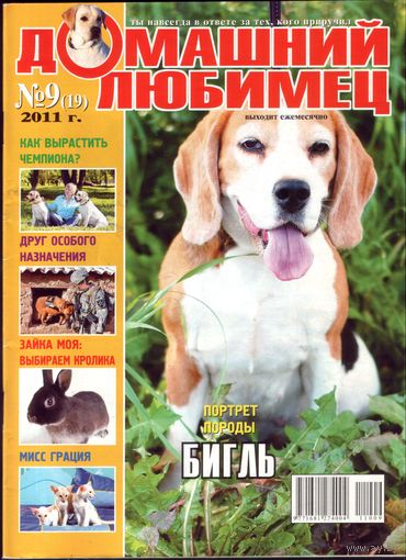 Домашний любимец #19
