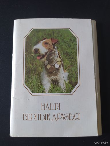 Наши верные друзья ( собаки)