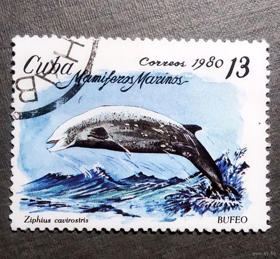 Марка Польша 1980 год Морские млекопитающие