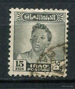 Ирак - 1948/1950 - Король Фейсал II 15F - [Mi.137] - 1 марка. Гашеная.  (LOT Dj21)