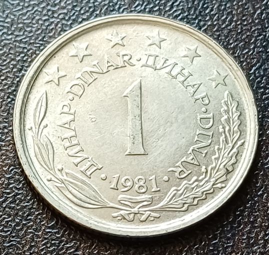 Югославия 1 динар, 1981    ( 2-9-5 )