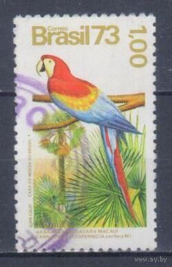 [1380] Бразилия 1973. Фауна.Птица.Попугай ара. Гашеная марка.
