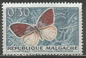 Республика Мадагаскар. Бабочка Белянка. 1960г. Mi#445.
