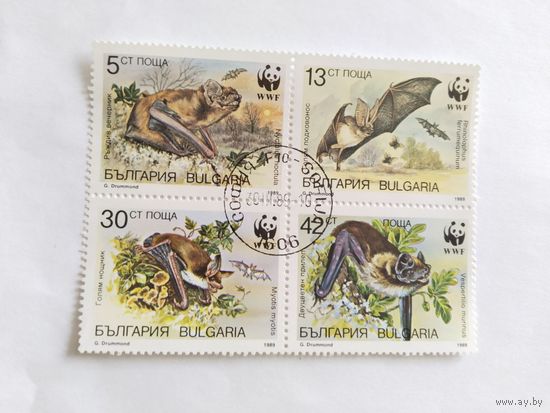 Болгария 1989 4 м  (кв/блок)