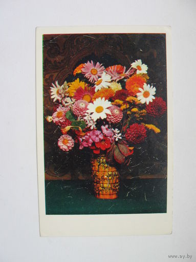 Стейнерт Э. 1977г.