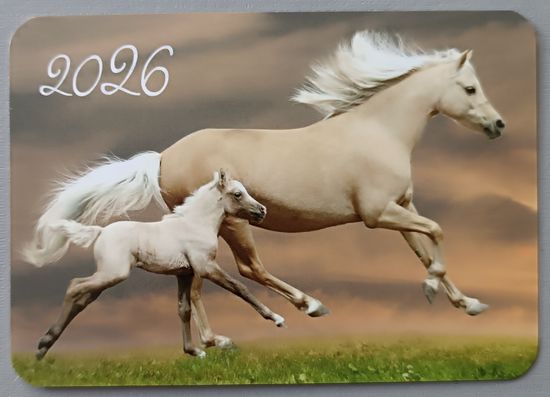 Лошади. Календарик, глянец, 2026. Траско