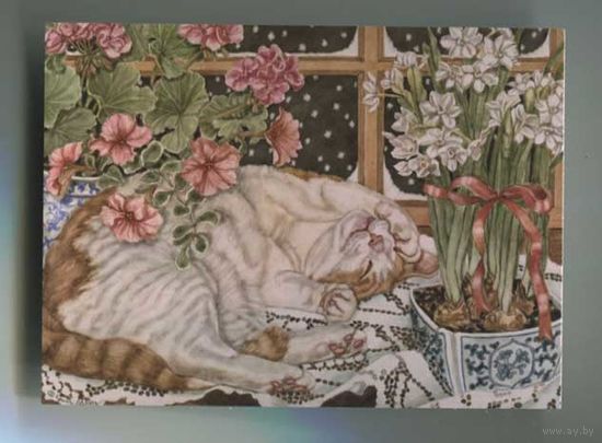 Открытка. С праздником! Фауна. Животные. Кот. Котик. Комнатные Цветы. Лук. Рассада. (чистая)