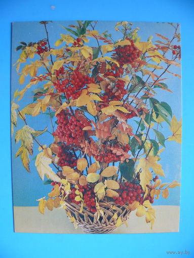 Костенко Г., Осенний букет, 1984, чистая, мини-формат.
