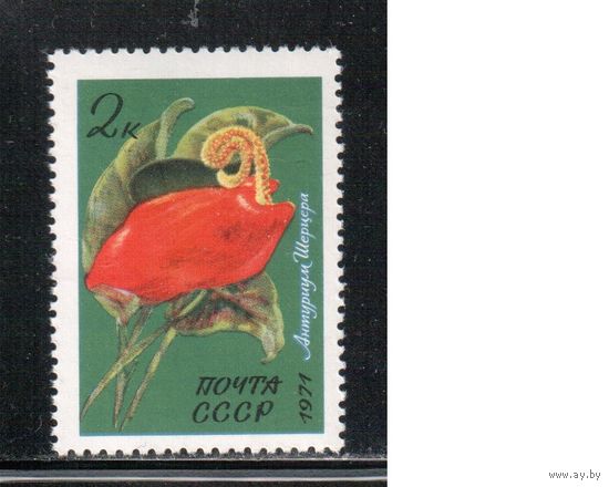 СССР-1971, (Заг.4013) ** , Цветы ,
