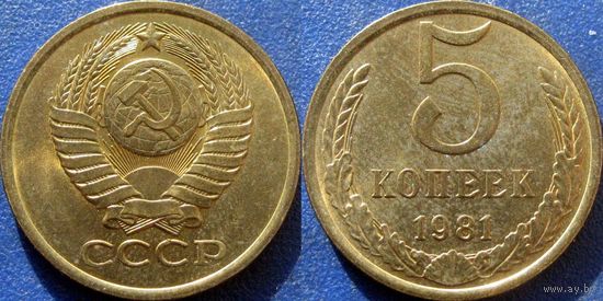 5 копеек 1981 года. аUNC