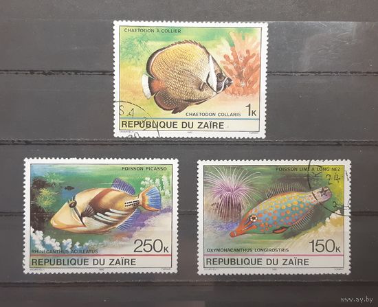 Конго (заир). 1980 год. Фауна. Рыбы (3 марки из серии)