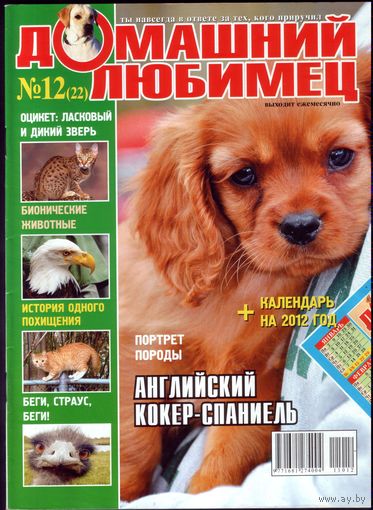 Домашний любимец #22