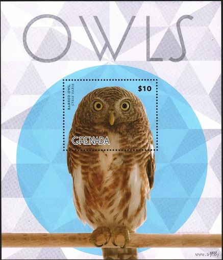 2015 Гренада 7201/B911 Птицы - Совы 9,00 евро