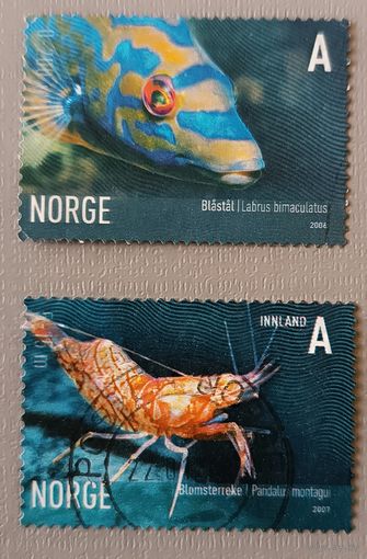 Рыба, креветка. Норвегия, 2006