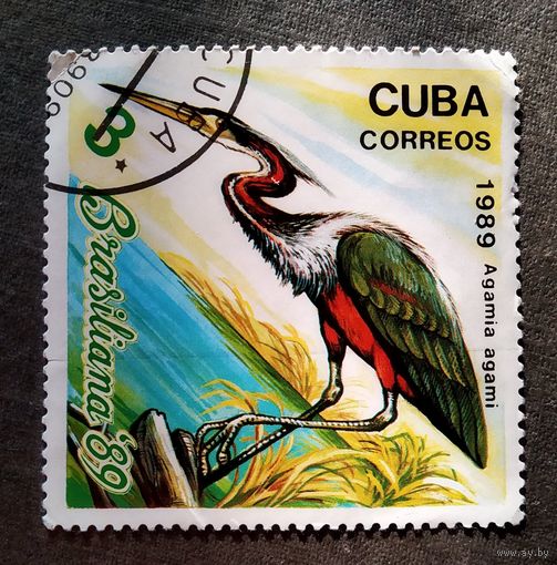 Марка Куба 1989 год Птицы